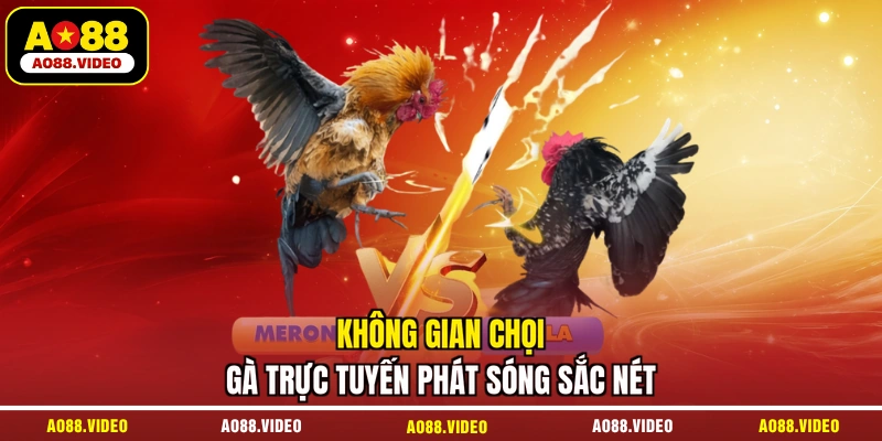 Không gian chọi gà trực tuyến phát sóng sắc nét
